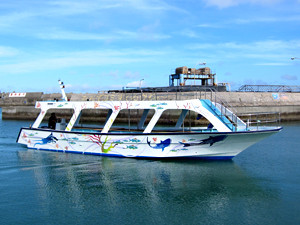 トップマリン残波店(都屋漁港)