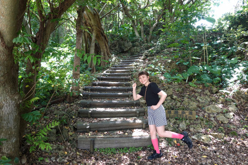 ホロホロ―の森