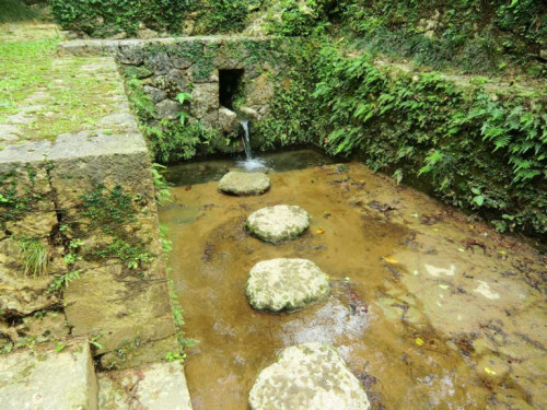 宜野湾市森の川(県指定名勝)