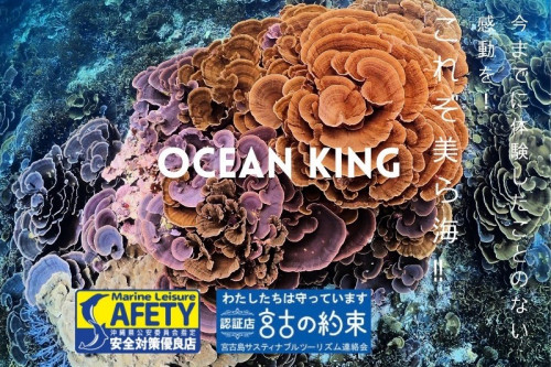 OCEAN KING