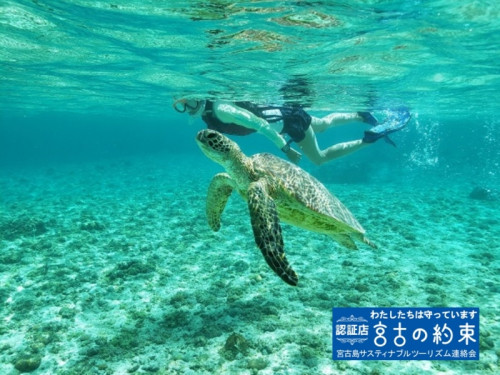 株式会社南西楽園リゾート