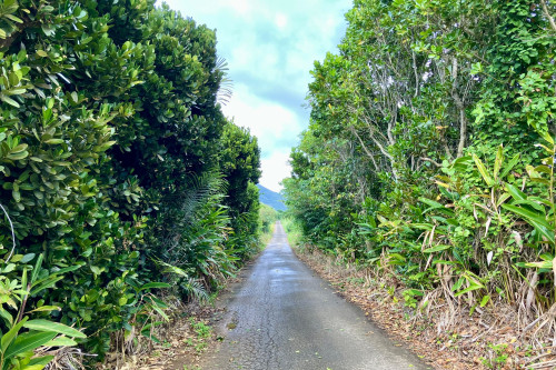 平久保半島エコロード