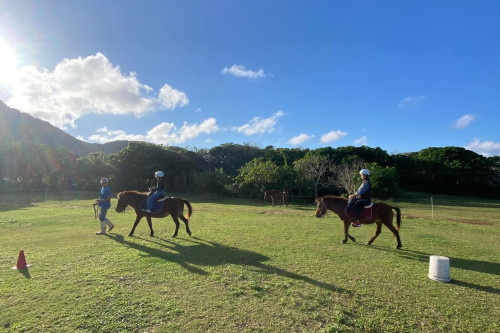 石垣島馬広場