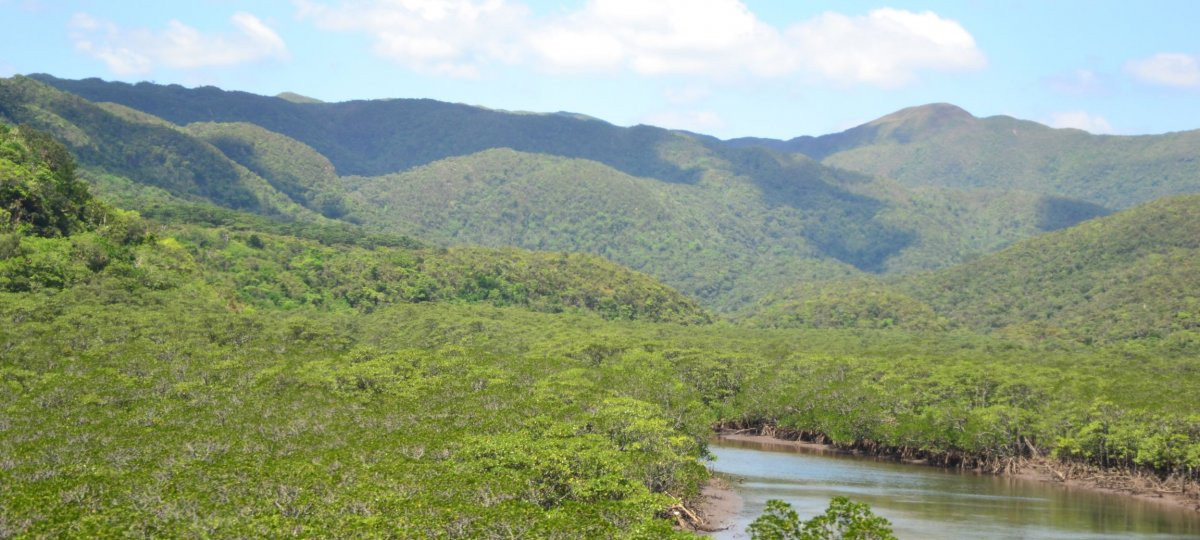 西表島 | 八重山諸島 | 沖縄観光情報WEBサイト おきなわ物語