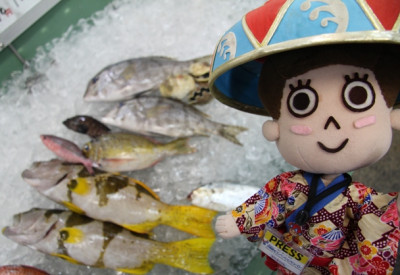 沖縄の旬な魚が食べられる　「パヤオ直売店」