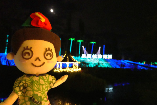 東南植物楽園「沖縄南国イルミネーション」の点灯式に行ってきました！