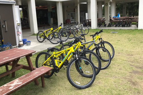 のどかな田園風景を眺めながらのサイクリング