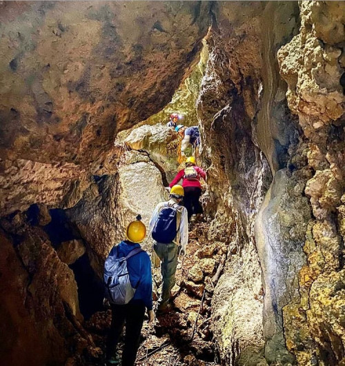 ハンターバンの森 トレッキングツアー