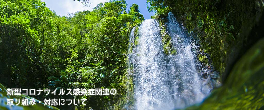 新型コロナウイルス感染症について 新型コロナウイルス関連情報 特集 沖縄観光情報webサイト おきなわ物語