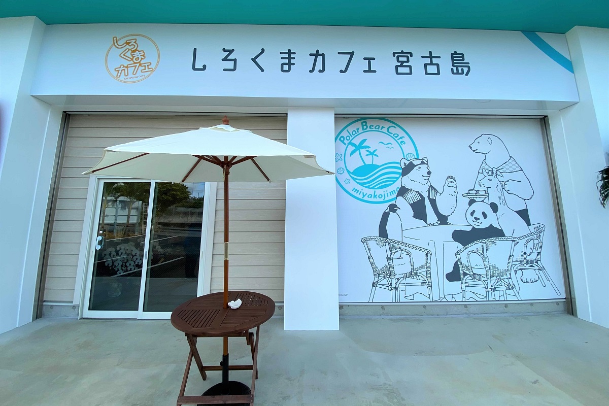 アニメ公認 しろくまカフェ In Miyakojima が宮古島にグランドオープン 沖縄観光情報webサイト おきなわ物語