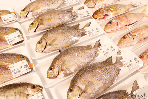 うるま市のおすすめスポット マハエの沖縄ダイアリー