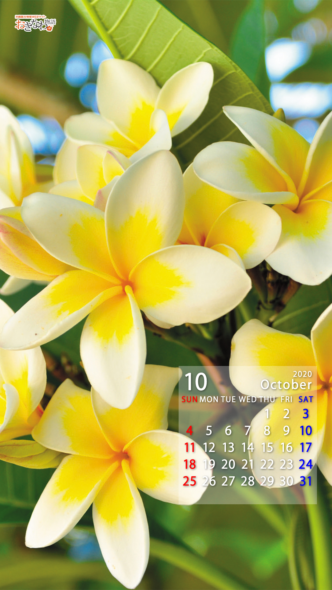 10月の壁紙カレンダー 沖縄観光情報webサイト おきなわ物語