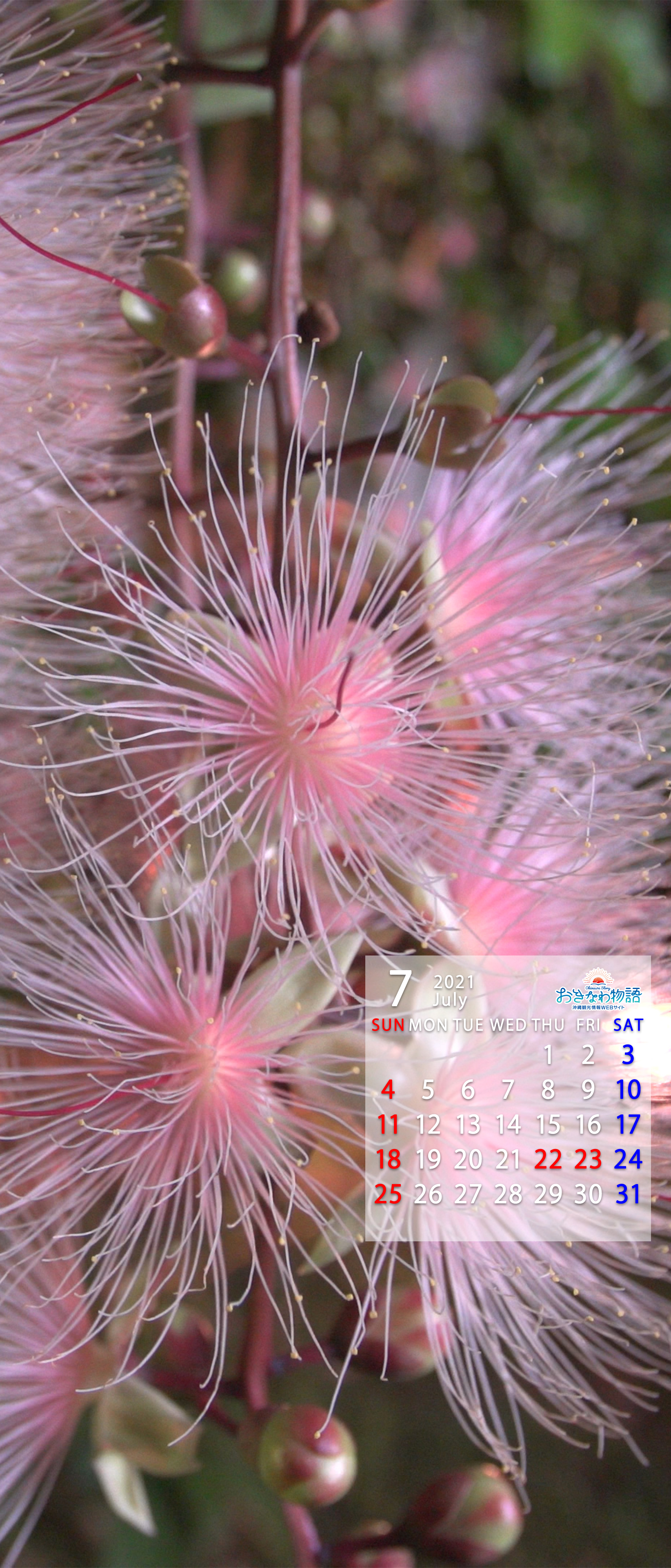 21年壁紙カレンダー 沖縄観光情報webサイト おきなわ物語