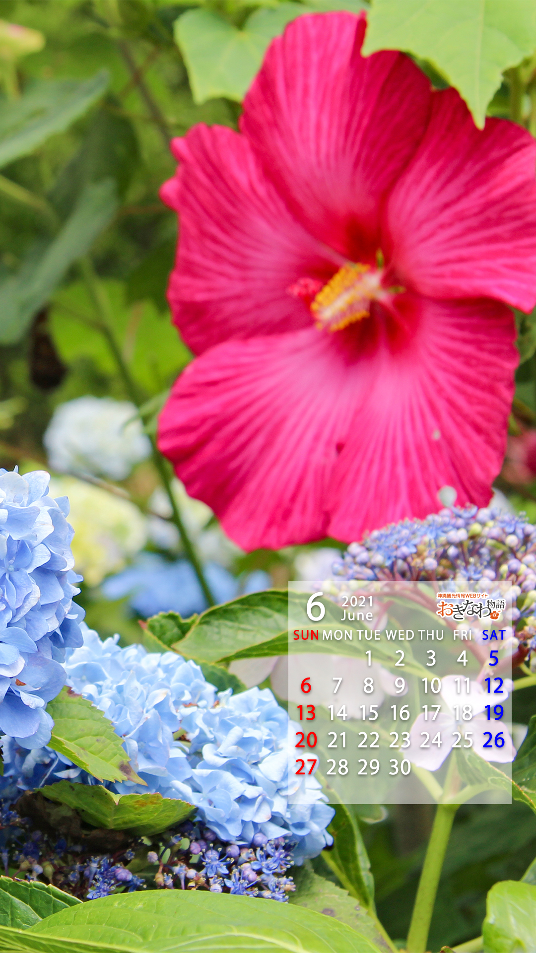 21年壁紙カレンダー 沖縄観光情報webサイト おきなわ物語