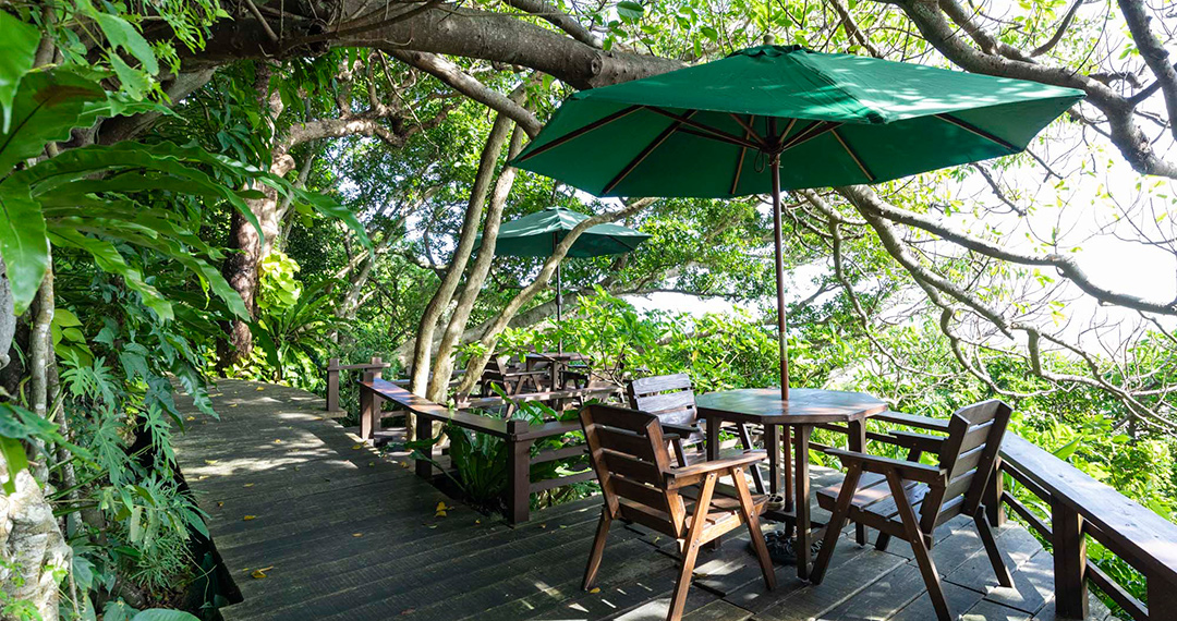 癒しの絶景カフェ Okinawa 森カフェ 癒しの絶景カフェ Okinawa 特集 沖縄観光情報webサイト おきなわ物語