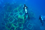 安室魚礁