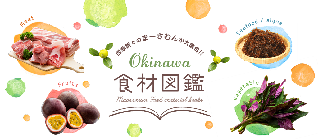 Okinawa 食材図鑑